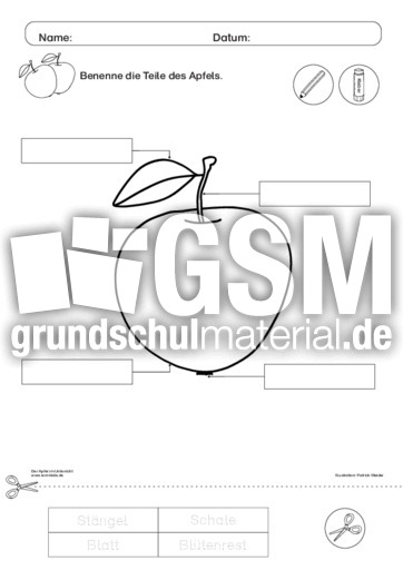 Der Apfel im Unterricht 21.pdf